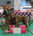 EURODOGSHOW in Leeuwarden, Niederlande 2011